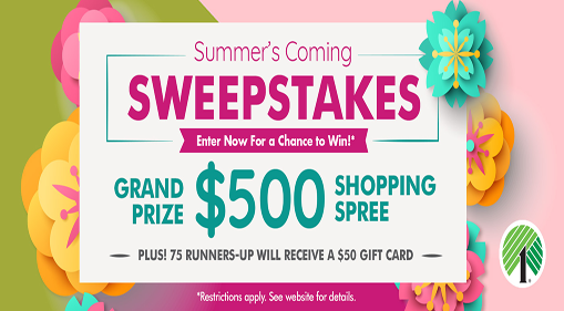 Dollar Tree Customer Appreciation Sweepstakes - Giveaway Play